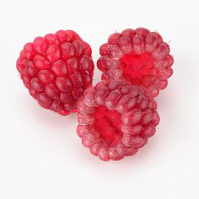 Realistic Raspberry